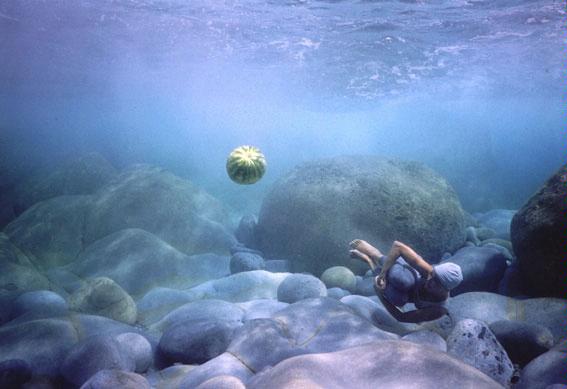 Doride Primordial Wish, 2001