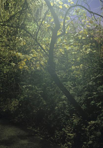 Untitled (Nightlight), 2003