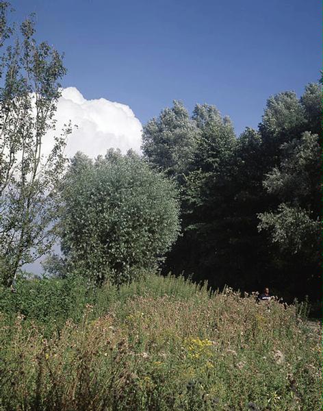 Cloud, 2000