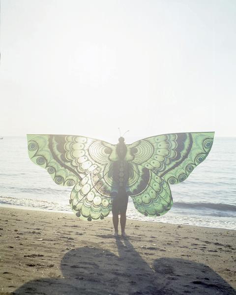 Untitled (Butterfly), 2002